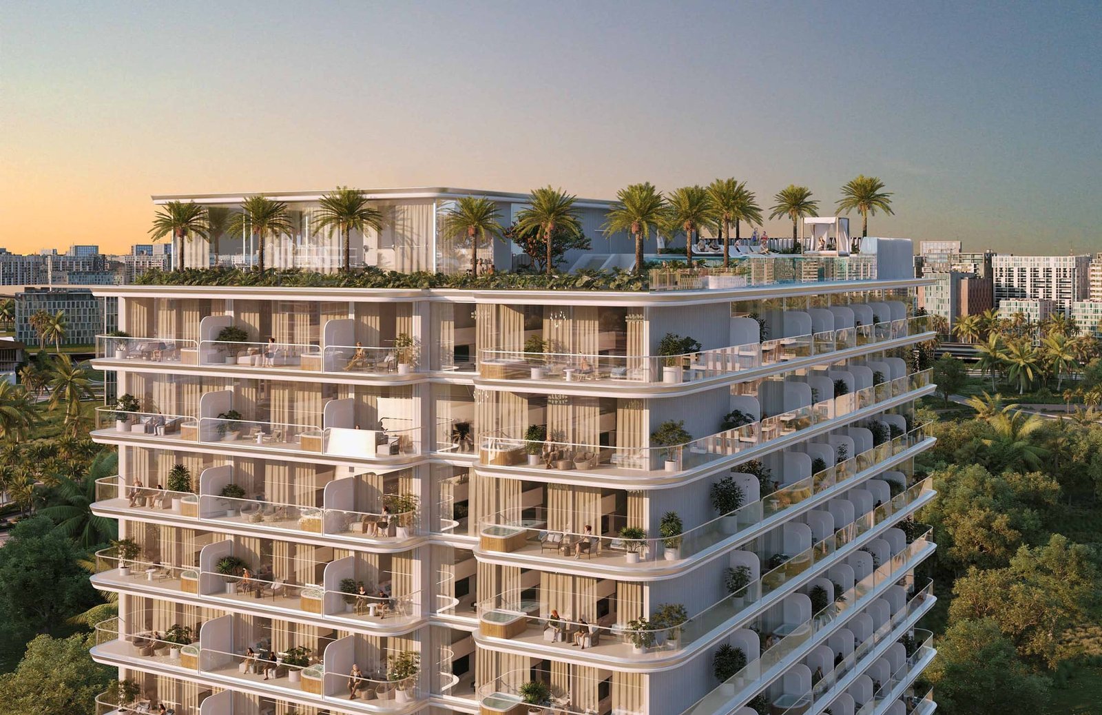 Cove Edition 5 by Imtiaz — overview